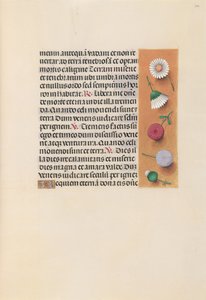 Stundenbuch der Königin Isabella die Katholische, Königin von Spanien: Fol. 245r, um 1500