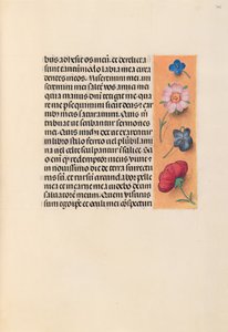Stundenbuch der Königin Isabella der Katholischen, Königin von Spanien: Fol. 245r, um 1500 von Master of the First Prayerbook of Maximillian