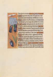 Stundenbuch der Königin Isabella der Katholischen, Königin von Spanien: Fol. 247v, ca. 1500 von Master of the First Prayerbook of Maximillian