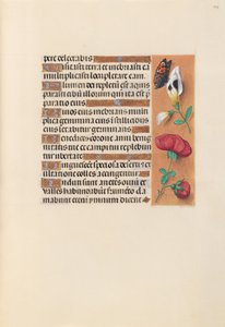 Stundenbuch der Königin Isabella der Katholischen, Königin von Spanien: Fol. 249r von Master of the First Prayerbook of Maximillian