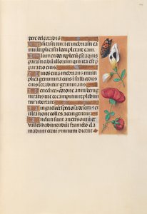 Stunden der Königin Isabella der Katholischen, Königin von Spanien: Fol. 249r, um 1500 von Master of the First Prayerbook of Maximillian