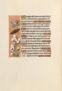 Stundenbuch der Königin Isabella der Katholischen, Königin von Spanien: Fol. 250v, um 1500 von Master of the First Prayerbook of Maximillian