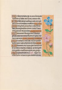 Stundenbuch der Königin Isabella der Katholischen, Königin von Spanien: Fol. 255r, ca. 1500 von Master of the First Prayerbook of Maximillian