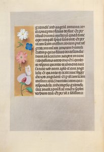 Stundenbuch der Königin Isabella die Katholische, Königin von Spanien: Fol. 258v, um 1500 von Master of the First Prayerbook of Maximillian