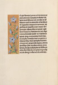 Stundenbuch der Königin Isabella der Katholischen, Königin von Spanien: Fol. 259v, um 1500