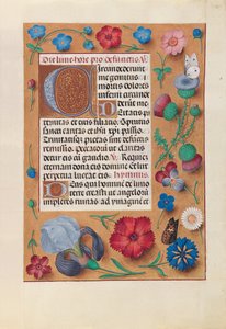 Stundenbuch der Königin Isabella der Katholischen, Königin von Spanien: Fol. 25r von Master of the First Prayerbook of Maximillian