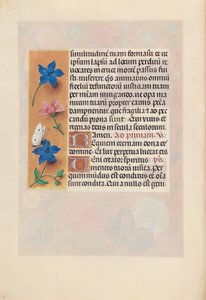 Stundenbuch der Königin Isabella der Katholischen, Königin von Spanien: Fol. 25v, ca. 1500 von Master of the First Prayerbook of Maximillian