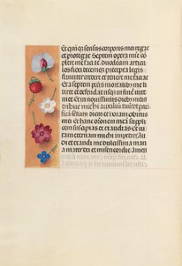Stundenbuch der Königin Isabella der Katholischen, Königin von Spanien: Fol. 260v, Pieta von Master of the First Prayerbook of Maximillian