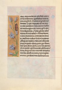 Stundenbuch der Königin Isabella der Katholischen, Königin von Spanien: Fol. 262v, ca. 1500
