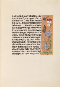 Stundenbuch der Königin Isabella der Katholischen, Königin von Spanien: Fol. 263r, um 1500