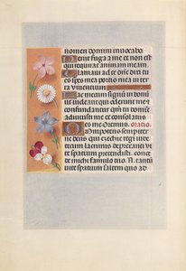 Stundenbuch der Königin Isabella der Katholischen, Königin von Spanien: Fol. 268v, ca. 1500 von Master of the First Prayerbook of Maximillian