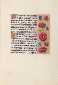 Stundenbuch der Königin Isabella der Katholischen, Königin von Spanien: Fol. 28r, ca. 1500 von Master of the First Prayerbook of Maximillian