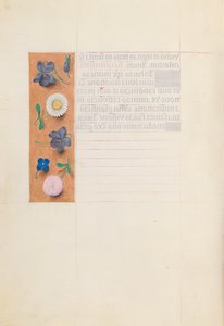 Stundenbuch der Königin Isabella der Katholischen, Königin von Spanien: Fol. 30v, um 1500 von Master of the First Prayerbook of Maximillian