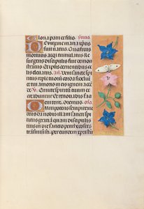 Stundenbuch der Königin Isabella der Katholischen, Königin von Spanien: Fol. 33r von Master of the First Prayerbook of Maximillian