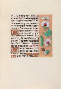 Stundenbuch der Königin Isabella die Katholische, Königin von Spanien: Fol. 35r, ca. 1500