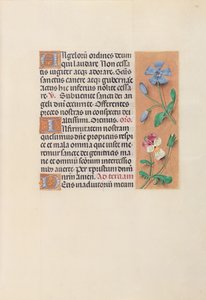 Stundenbuch der Königin Isabella der Katholischen, Königin von Spanien: Fol. 39r, um 1500 von Master of the First Prayerbook of Maximillian