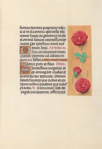 Stundenbuch der Königin Isabella der Katholischen, Königin von Spanien: Fol. 41r, um 1500 von Master of the First Prayerbook of Maximillian