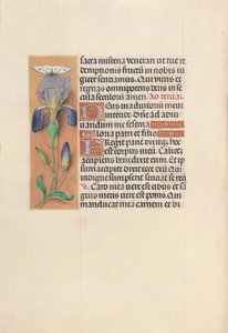 Stundenbuch der Königin Isabella die Katholische, Königin von Spanien: Fol. 45v, ca. 1500 von Master of the First Prayerbook of Maximillian