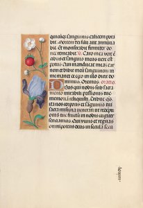 Stundenbuch der Königin Isabella der Katholischen, Königin von Spanien: Fol. 46v, um 1500