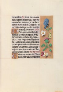 Stundenbuch der Königin Isabella der Katholischen, Königin von Spanien: Fol. 48r, um 1500