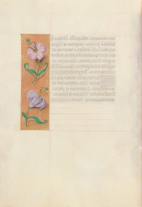 Stundenbuch der Königin Isabella die Katholische, Königin von Spanien: Fol. 49v, ca. 1500 von Master of the First Prayerbook of Maximillian