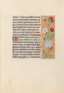 Stundenbuch der Königin Isabella der Katholischen, Königin von Spanien: Fol. 55r