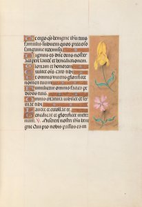 Stundenbuch der Königin Isabella der Katholischen, Königin von Spanien: Fol. 56r, um 1500 von Master of the First Prayerbook of Maximillian