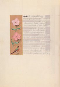 Stundenbuch der Königin Isabella der Katholischen, Königin von Spanien: Fol. 56v, ca. 1500 von Master of the First Prayerbook of Maximillian