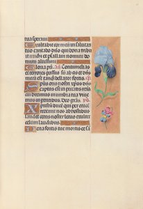 Stundenbuch der Königin Isabella der Katholischen, Königin von Spanien: Fol. 58r, ca. 1500 von Master of the First Prayerbook of Maximillian