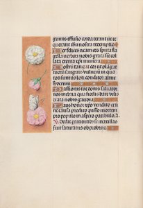 Stundenbuch der Königin Isabella der Katholischen, Königin von Spanien: Fol. 58v, ca. 1500 von Master of the First Prayerbook of Maximillian