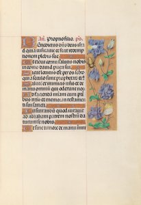 Stundenbuch der Königin Isabella der Katholischen, Königin von Spanien: Fol. 59r