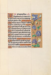 Stundenbuch der Königin Isabella die Katholische, Königin von Spanien: Fol. 59r, um 1500