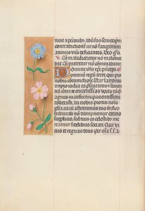 Stundenbuch der Königin Isabella der Katholischen, Königin von Spanien: Fol. 62v, um 1500 von Master of the First Prayerbook of Maximillian