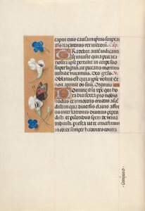 Stundenbuch der Königin Isabella der Katholischen, Königin von Spanien: Fol. 67v von Master of the First Prayerbook of Maximillian