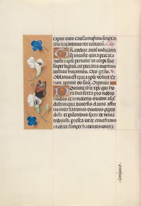 Stundenbuch der Königin Isabella der Katholischen, Königin von Spanien: Fol. 67v von Master of the First Prayerbook of Maximillian