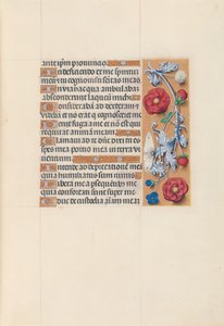Stundenbuch der Königin Isabella die Katholische, Königin von Spanien: Fol. 70r, um 1500 von Master of the First Prayerbook of Maximillian