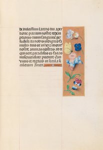 Stundenbuch der Königin Isabella der Katholischen, Königin von Spanien: Fol. 71r von Master of the First Prayerbook of Maximillian