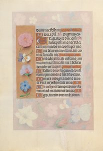 Stundenbuch der Königin Isabella der Katholischen, Königin von Spanien: Fol. 73v von Master of the First Prayerbook of Maximillian