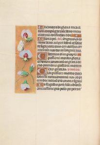 Stundenbuch der Königin Isabella der Katholischen, Königin von Spanien: Fol. 74v, um 1500