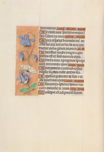 Stundenbuch von Königin Isabella der Katholischen, Königin von Spanien: Fol. 75v, um 1500