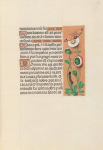 Stundenbuch der Königin Isabella der Katholischen, Königin von Spanien: Fol. 76r, um 1500