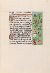 Stundenbuch der Königin Isabella die Katholische, Königin von Spanien: Fol. 82r von Master of the First Prayerbook of Maximillian