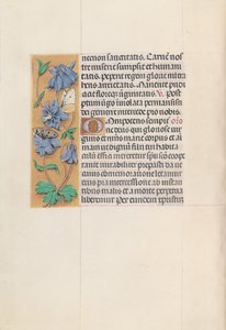 Stundenbuch der Königin Isabella der Katholischen, Königin von Spanien: Fol. 83v, ca. 1500 von Master of the First Prayerbook of Maximillian