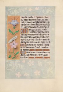 Stundenbuch der Königin Isabella der Katholischen, Königin von Spanien: Fol. 88v, um 1500 von Master of the First Prayerbook of Maximillian