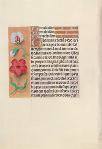 Stundenbuch der Königin Isabella der Katholischen, Königin von Spanien: Fol. 89v, ca. 1500