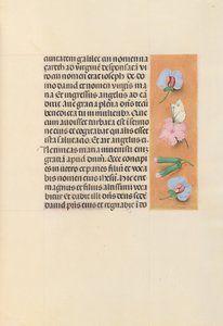 Stundenbuch der Königin Isabella der Katholischen, Königin von Spanien: Fol. 94r, ca. 1500 von Master of the First Prayerbook of Maximillian