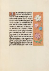 Stundenbuch der Königin Isabella der Katholischen, Königin von Spanien: Fol. 95r, um 1500 von Master of the First Prayerbook of Maximillian