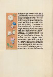 Stundenbuch der Königin Isabella der Katholischen, Königin von Spanien: Fol. 95v, ca. 1500 von Master of the First Prayerbook of Maximillian