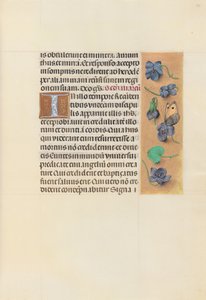 Stundenbuch der Königin Isabella der Katholischen, Königin von Spanien: Fol. 96r, um 1500 von Master of the First Prayerbook of Maximillian