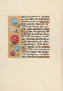 Stundenbuch der Königin Isabella der Katholischen, Königin von Spanien: Fol. 99v, ca. 1500 von Master of the First Prayerbook of Maximillian